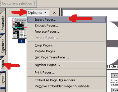 72_adobe_pages_options_insert_pages.png