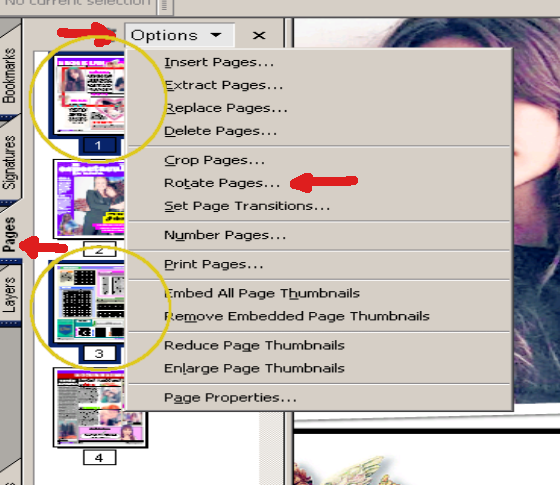 28_adobe_options_rotate_pages.png